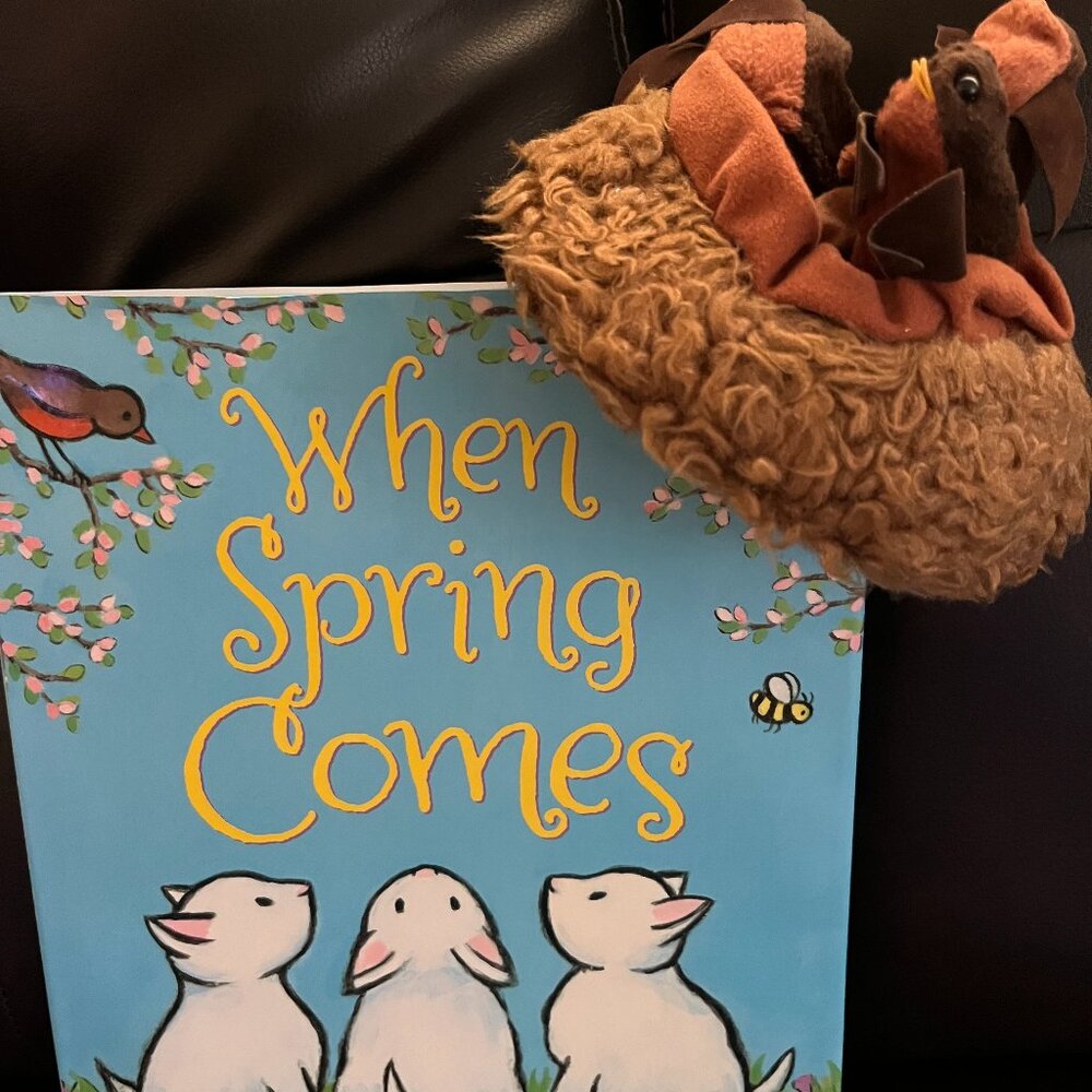 BABY BIRD FINGERS PUPPET( in NEST)  (with hard cover SPRING book)